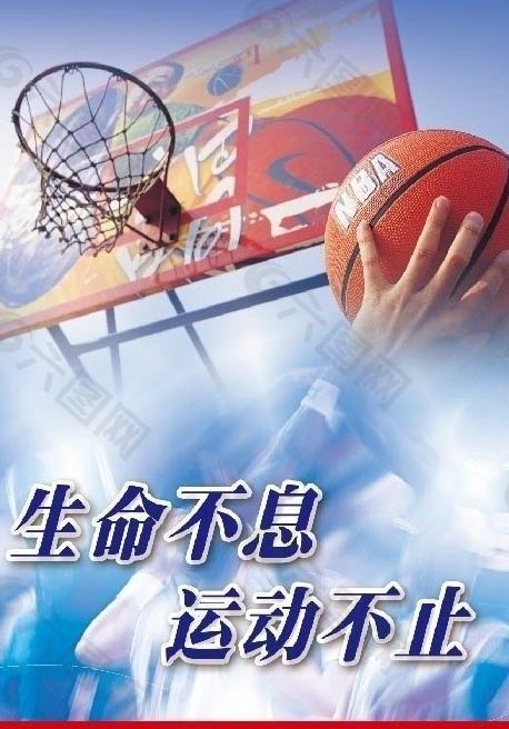 塞鸟的崛起