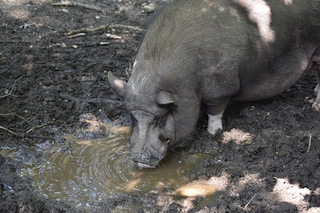 逆境中的执 逆境中的执