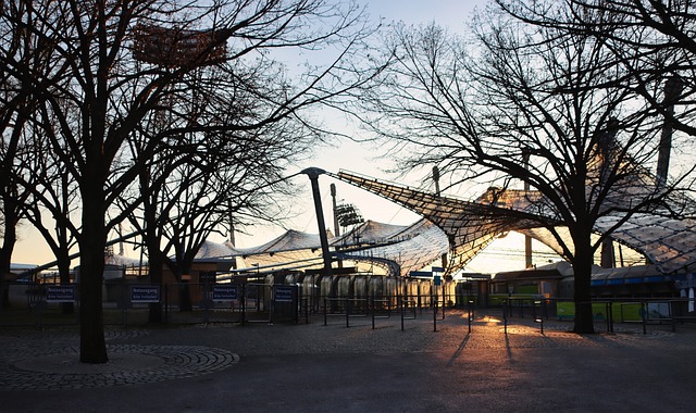 萨需要更为 萨需要更为