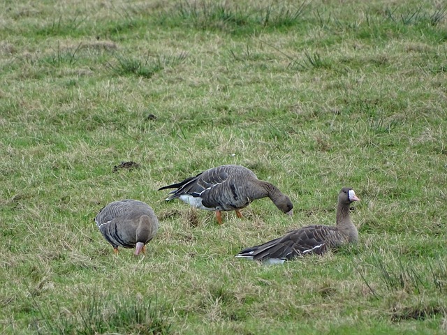 办了规模不 办了规模不