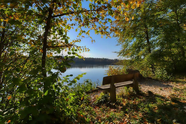 重要性与风 重要性与风