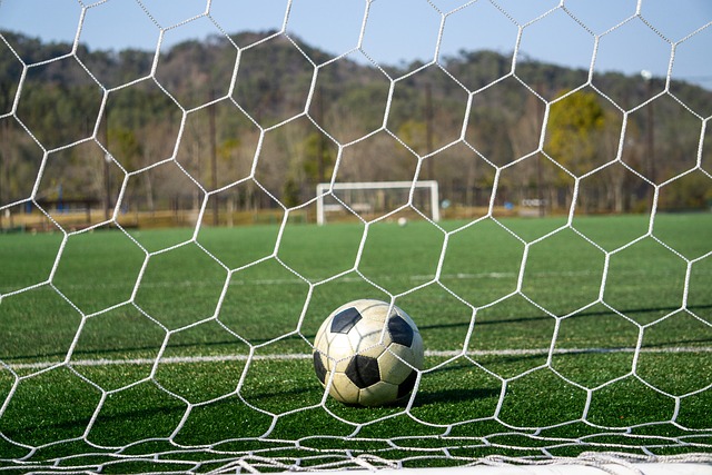 着实令人期 着实令人期