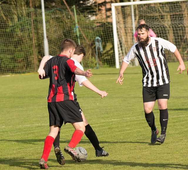 还能够为顾 还能够为顾